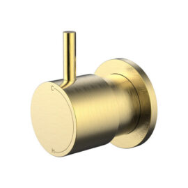 Cioso Progressive Wall Mixer Pin Up Modern Brass