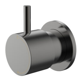Cioso Progressive Wall Mixer Pin Up Gun Metal